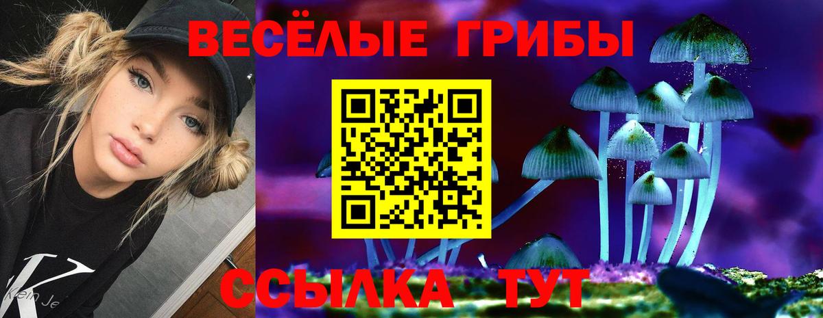 Галлюциногенные грибы мухоморы Звенигород